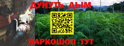 PSILOCYBIN Обнинск