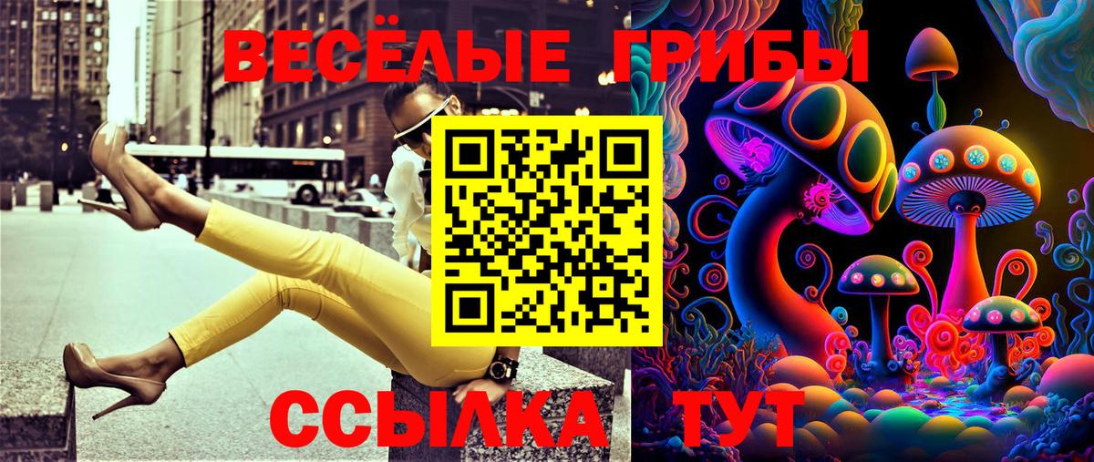 Псилоцибиновые грибы мицелий  Вход с VPN  Старая Купавна 