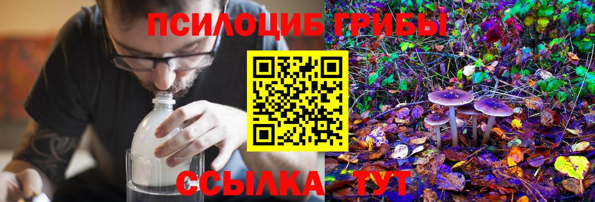 Псилоцибиновые грибы Magic Shrooms Старая Купавна