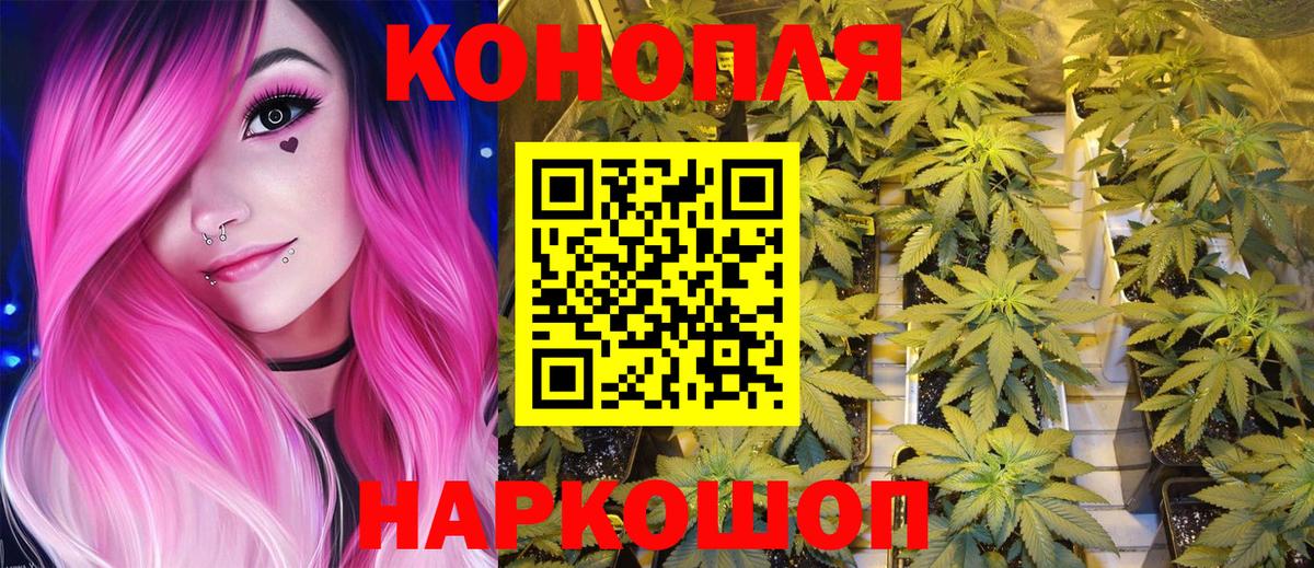 Бошки марихуана сатива Старая Купавна